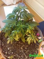 IMG_20160327_120027.jpg
