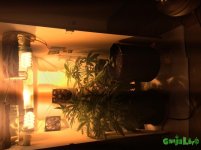 IMG_0327.JPG