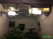 IMG_0329.JPG