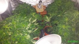 20160328_194438.jpg