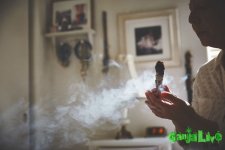 marijuana-nuns-02.jpg