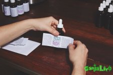 marijuana-nuns-03.jpg