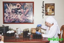 marijuana-nuns-04.jpg