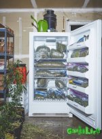 marijuana-nuns-13.jpg