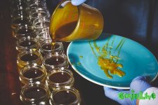 marijuana-nuns-17.jpg