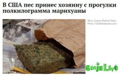 akCsRjKLUfo.jpg