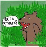 MMpDbekZvrY.jpg