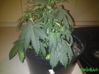 20160331_193800.jpg
