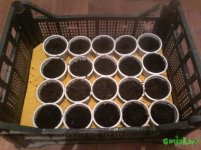 IMG_20160401_011324.jpg