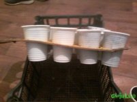 20160401_012922.jpg