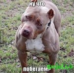 imageвапрол.jpg