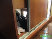 IMG_7212.JPG IMG_7212.JPG