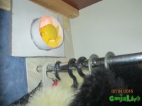 IMG_7211.JPG IMG_7211.JPG