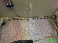 IMG_7221.JPG