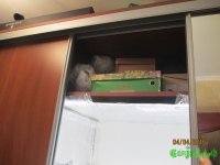 IMG_7224.JPG