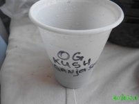 DSCN0751.JPG