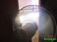 IMG_7257.JPG