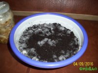 100_4335.JPG