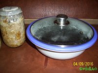 100_4336.JPG