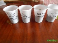 DSCN0758.JPG