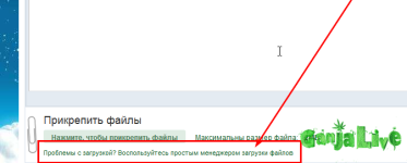 Screenshot.png Screenshot.png