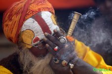 Maha-Shivratri_pixanews-9.jpg Maha-Shivratri_pixanews-9.jpg
