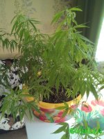 IMG_20160413_113500.jpg