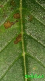 20160414_070311.jpg