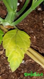 20160414_070402.jpg