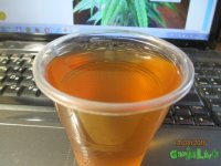 IMG_7381.JPG