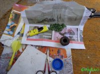 DSC03843.JPG