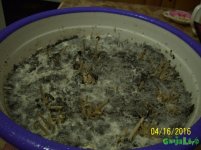 100_4348.JPG