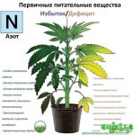 1. Азот by Dzagi.club.jpg 1. Азот by Dzagi.club.jpg