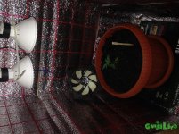 IMG_1736.JPG