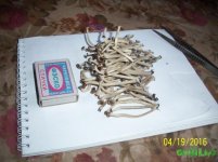 100_4359.JPG