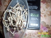 100_4360.JPG