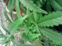 IMG_20160419_143359.jpg