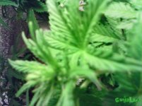 IMG_20160419_143351.jpg