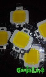 293805054_2_644x461_led-10w-svetodiody-fotografii.jpg