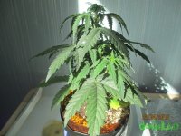 IMG_7502.JPG