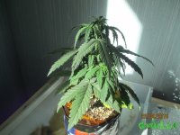 IMG_7503.JPG