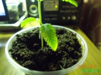 DSCN2230.JPG