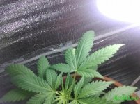 IMG_20160428_002538.jpg