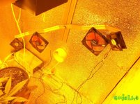 DSCF5243.JPG DSCF5243.JPG