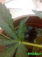IMG_20160428_145942.jpg