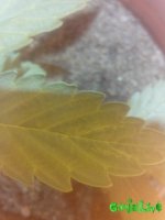 IMG_20160428_150036.jpg
