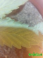 IMG_20160428_150042.jpg