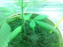IMG_20160430_141338.jpg