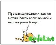 BLZnj5fEzEI.jpg