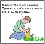 sHeW46cEcL8.jpg